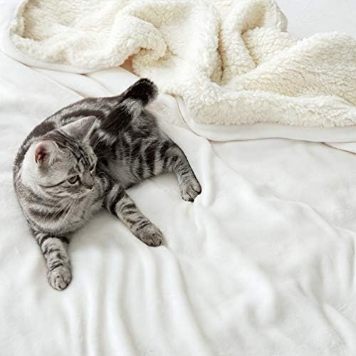 LBRO2M Sherpa Fleece Bed Blanket King Size Super Soft Plush Warm Cozy Fluffy Microfiber Couch Throw Velvet Double Reversible Blankets,Ivory - Image 4