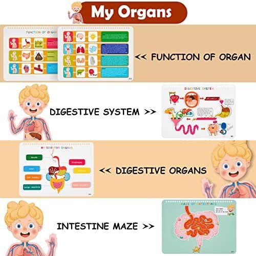 Freebear Montessori Busy Book for Kids, Human Body Anatomy Book for Toddlers, Preshool Kindergarten Learning Activities, Autism Sensory Toys, Travel Toys, Gifts for Girls and Boys 4 5 6 7 8 Years - Image 5