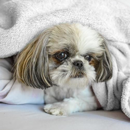 Soft Blanket - Lightweight Breathable Warm Cozy Plush Travel Blanket for Pets - Nimbus Cloud Grey - 30x40 Inches - Image 7