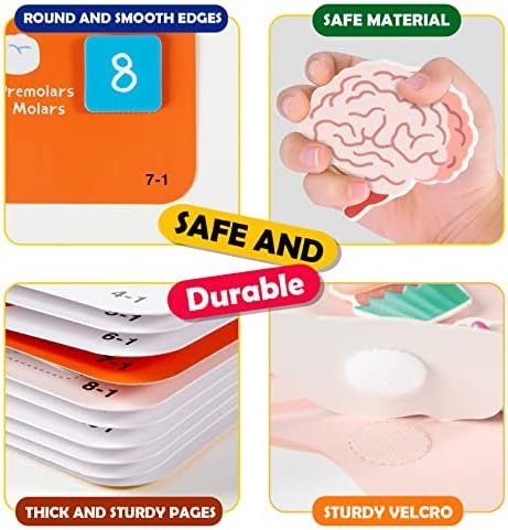 Freebear Montessori Busy Book for Kids, Human Body Anatomy Book for Toddlers, Preshool Kindergarten Learning Activities, Autism Sensory Toys, Travel Toys, Gifts for Girls and Boys 4 5 6 7 8 Years - Image 7