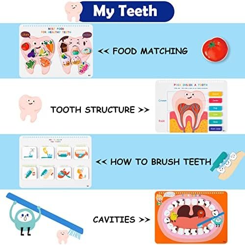 Freebear Montessori Busy Book for Kids, Human Body Anatomy Book for Toddlers, Preshool Kindergarten Learning Activities, Autism Sensory Toys, Travel Toys, Gifts for Girls and Boys 4 5 6 7 8 Years - Image 4