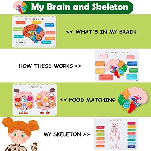 Freebear Montessori Busy Book for Kids, Human Body Anatomy Book for Toddlers, Preshool Kindergarten Learning Activities, Autism Sensory Toys, Travel Toys, Gifts for Girls and Boys 4 5 6 7 8 Years - Image 3
