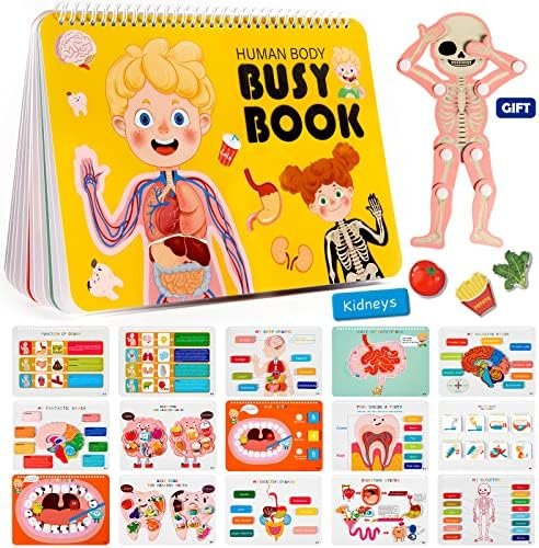 Freebear Montessori Busy Book for Kids, Human Body Anatomy Book for Toddlers, Preshool Kindergarten Learning Activities, Autism Sensory Toys, Travel Toys, Gifts for Girls and Boys 4 5 6 7 8 Years